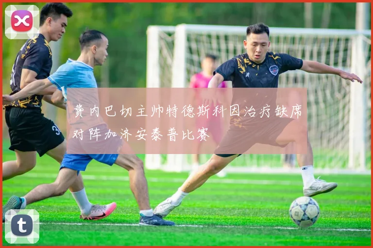 费内巴切主帅特德斯科因治疗缺席对阵加济安泰普比赛
