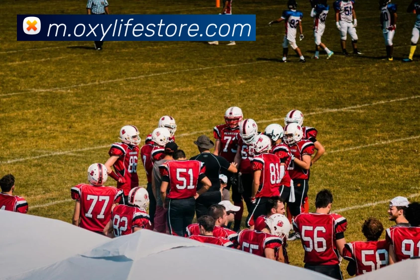 MILAN.COM平台生态图